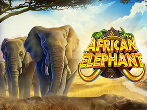 African Elephant slot by Pragmatic Play