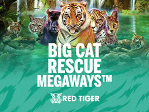Big Cat Rescue Megaways slot by Red Tiger