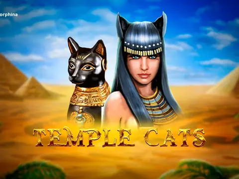 Temple Cats slot by Endorphina