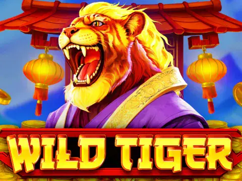 Wild Tiger slot by BGaming