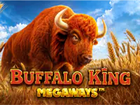 Buffalo King Megaways slot by Pragmatic Play