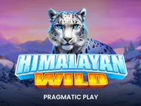 Himalayan Wild slot by Pragmatic Play