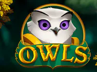 Owls slot by Nolimit City