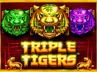 Triple Tigers slot by Pragmatic Play