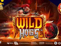Wild Hogs slot by Stakelogic